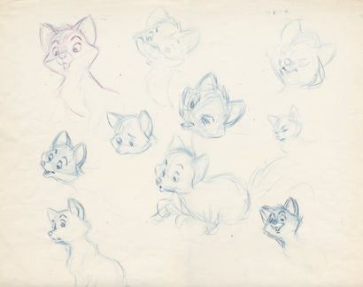 null Rox et Rouky (The Fox and the Hound) Studio Disney 1981. Dessin de model sheet...