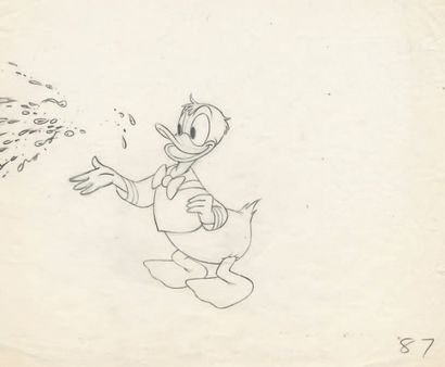 null Donald Studio Walt Disney années 1950's. Dessin d'animation. Format : 24 x 27,5...