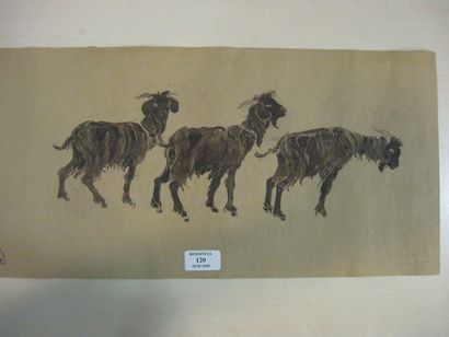 Suzanne CREPIN (1880-1956). Trois chèvres, aquarelle sur papier bistre, daté17 novembre...