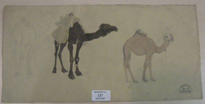 Suzanne CREPIN (1880-1956). Chameau et chamelon, dessin au crayon noir et aquarelle...