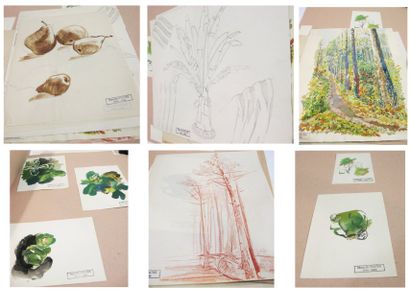 MARCELLE FIACRE 1914-2006 18 dessins et aquarelles "plantes, fleurs et arbres "