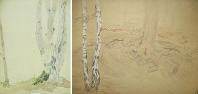 Suzanne CREPIN (1880-1956). Deux études d'arbres, dessin au crayon noir et aquarelle...