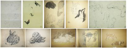 Suzanne CREPIN (1880-1956). Dix études d'animaux, dessin au crayon noir et aquarelle...