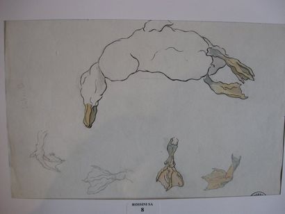 Suzanne CREPIN (1880-1956). Le canard, dessin à l'encre et à l'aquarelle sur papier...