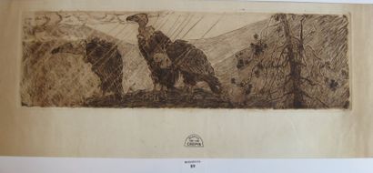 Suzanne CREPIN (1880-1956). Les vautours, gravures à la sépia. 27.5 x 64 cm. On y...