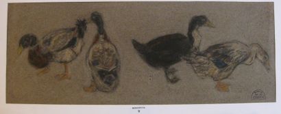 Suzanne CREPIN (1880-1956). Les canards, dessin au crayon gras et pastel sur papier...