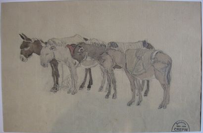Suzanne CREPIN (1880-1956). Quatre ânes, dessin au crayon noir et aquarelle sur papier...