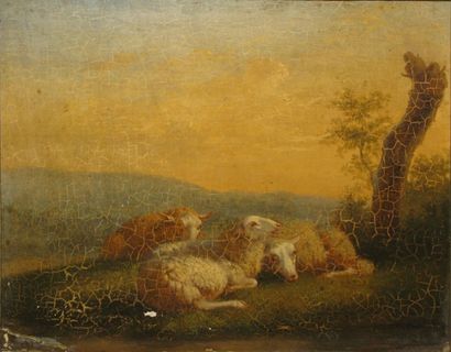 Entourage d'Eugène VERBOECKHOVEN Moutons près d'une souche Huile sur panneau (craquelures...
