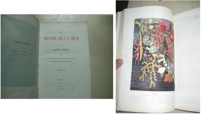 FREDOL (Alfred) Le monde de la mer. Paris, Hachette,1865. Illustré de 21 planches...