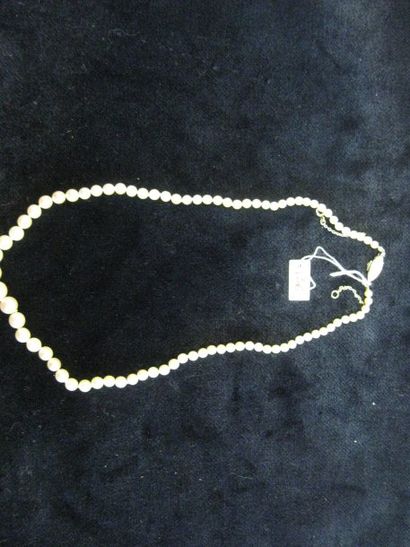 null Collier formé de 85 perles (fines?) disposées en chute, fermoir en or gris serti...