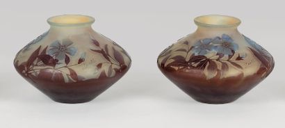 GALLÉ Émile (1846 -1904) Deux vases ovoïdes aplatis. Épreuve de tirage industriel...