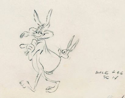 null To Hare is Human Réalisation : Chuck Jones. Studio Warner Bros, 1956. Rare dessin...