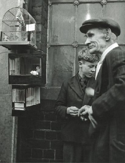 null Homme et enfant aux oiseaux, ca. 1950 Tirage argentique d'époque, tampon " PHOTO...