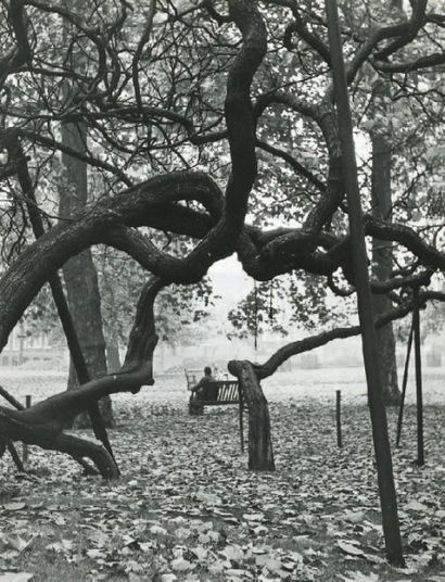 null Homme sur un banc dans un jardin, ca. 1960 Tirage argentique d'époque, tampons...