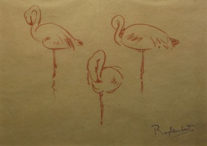 LAMBERT Ray, 1889-1969 Trois flamants roses, sanguine sur papier beige, cachet de...