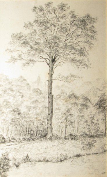 MORVILLIERS Roger, 1895-1979 L'arbre, dessin à la mine de plomb (rousseurs), monogramme...