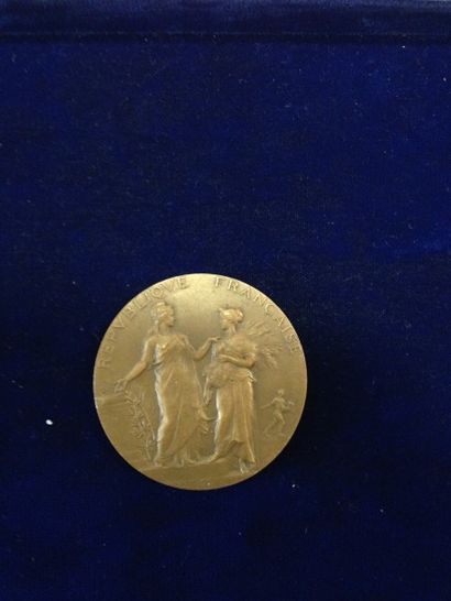 null [Agriculture] [Lille] 



Médaille en bronze. 

A l'avers : République Française...