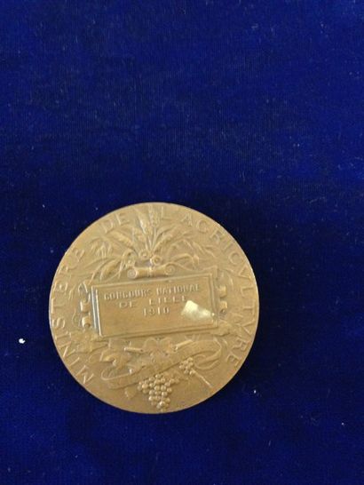 null [Agriculture] [Lille] 



Médaille en bronze. 

A l'avers : République Française...