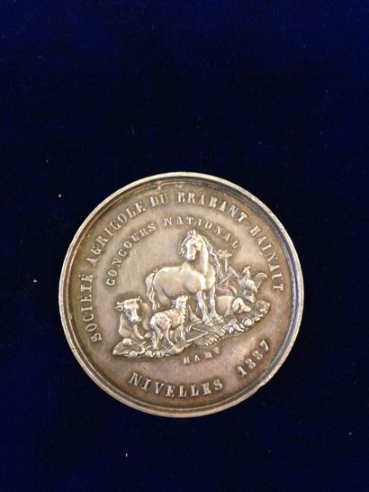 null [Belgique] [Comice agricole]



Médaille en argent. 

A l'avers : Léopold II...