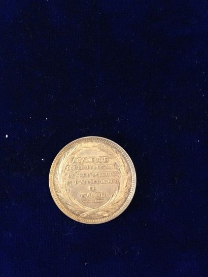 null [Saône-et-Loire] [Mâcon]



Médaille en argent. 

Au revers : académie des sciences,...
