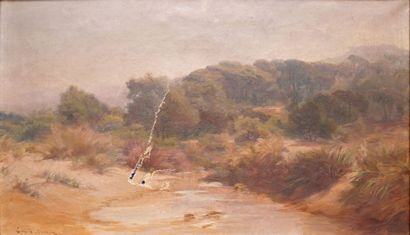 BOIVIN Émile, 1846-1920, Paysages du Midi

Une huile sur panneau et une huile sur...