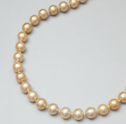 Collier de perles de culture gold en légère...