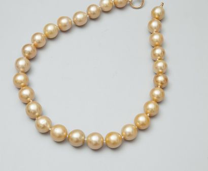 Collier de perles de culture gold en légère...