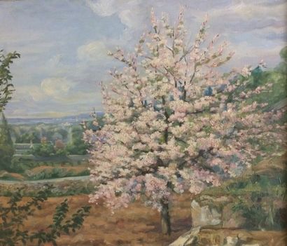 null ROLLANDET MORIN G.
Pommier en Fleurs
Huile sur toile, signée en bas à droite,
54x66...