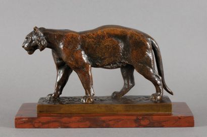 Antoine Louis BARYE Tigre qui marche (modèle de jeunesse)
Bronze à patine brune nuancée...