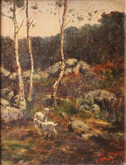 null CORCHON DIAQUÉ Federico, 1853-1925

Chèvre et chevreau, forêt de Fontainebleau

Huile...