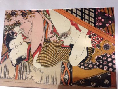 null « Shunga » : Coffret « les Estampes érotiques japonaises »
60 reproductions...