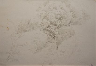 MENARD Émile René, 1861-1930 
Paysages de montagne - Études d'arbres 8 dessins au...
