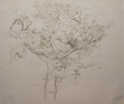 MENARD Émile René, 1861-1930 
Paysages de montagne - Études d'arbres 8 dessins au...