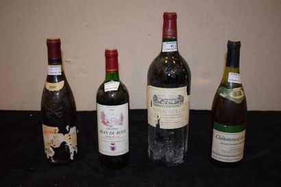 3 bouteilles VINS DIVERS et 1 magnum (Châteauneuf...