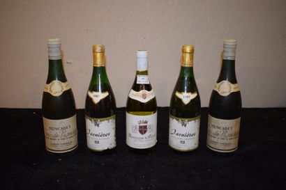 5 bouteilles (Jasnières, Aligoté, Muscadet)...