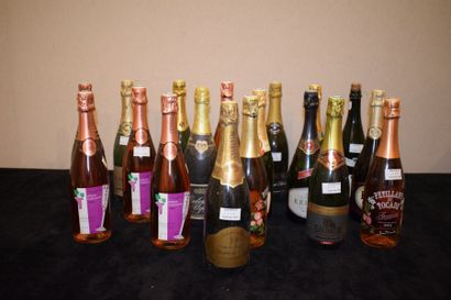 null 18 bouteilles VINS EFFERVESCENTS (Saumur, Alsace, Poiré...) 

