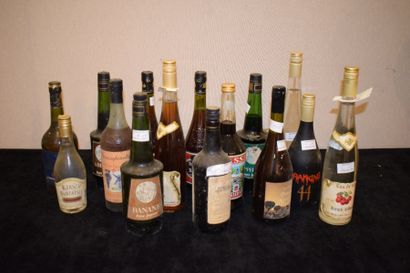 15 bouteilles SPIRITUEUX ET LIQUEURS (Kirsch,...