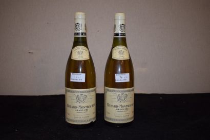 null 2 bouteilles BÂTARD-MONTRACHET, L. Jadot 1992 (1 LB) 