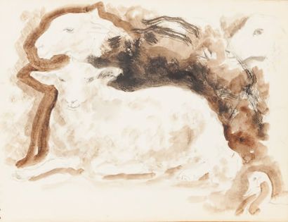 Serge FOTINSKY (1887 - 1971) Etude de moutons vers 1940 Encre et lavis. 17,5 x 13,5...