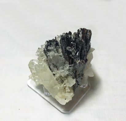 null Elégante HÜBNERITE de Pasto Bueno, Pérou (7 cm). Des cristaux d'HÜBNERITE noirs,...