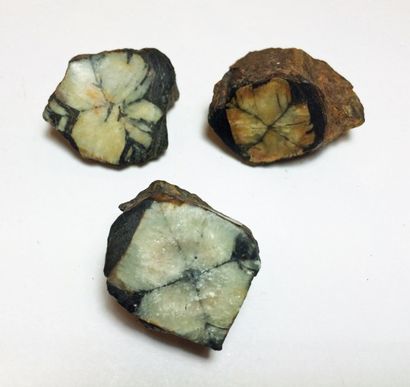 null Sept minéraux peu courants d'Afrique du Sud et du Rwanda: GAUDEFROYITE et ANDRADITE...