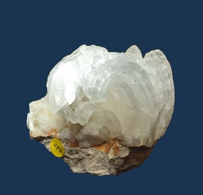 null Quatre minéraux : GYPSE : "Ramshorn" sur gangue d'Afrique du Nord (11 cm); cristal...