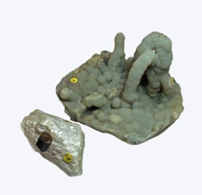 Deux minéraux : élégante CALCEDOINE en stalagmites...