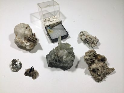 null Systématique (7 pièces) de Mont Saint-Hilaire, Québec : joli cristal d'ANALCIME...