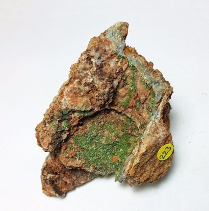 null Deux jolis petits minéraux du Tarn : CHALCOPYRITE très brillante et QUARTZ de...