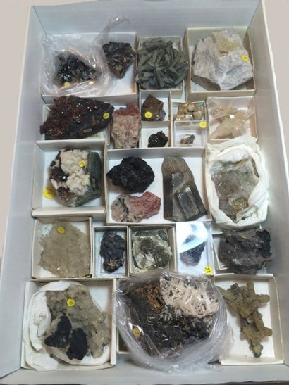 null Intéressant flat de 24 minéraux divers (dont manganite, argent natif, cérusite...
