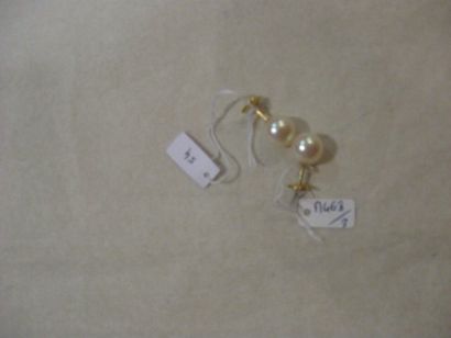 null Paire de clous d'oreilles perles de culture, monture en or jaune. Poids brut...