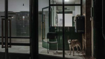 Remy Soubanere (né en 1981) The Watchdog - Paris 2015
LensCulture street photography...