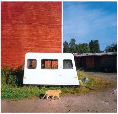Vincent Gelly - Hossa (né en 1970) Le chat miaule, la caravane passe, Îles Solovki,...