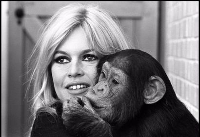 null DE RAEMY Léonard (1924 - 2000)

Brigitte Bardot

Tirage format 41,5 x 60 cm...